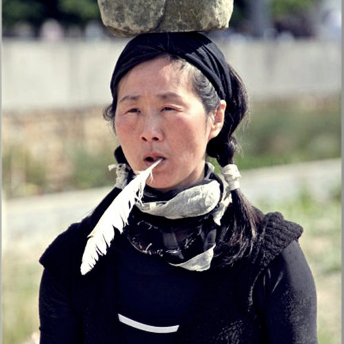 丁麗萍